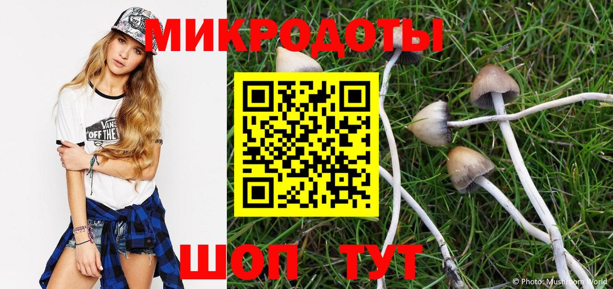 Вичуга  Псилоцибиновые грибы MAGIC MUSHROOMS  Псилоцибиновые грибы Cubensis  Вход с VPN 